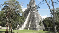 Tikal Maya Ruins Full Day Tour from Guatemala City