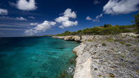 Bonaire Land and Sea Combo Tour