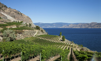 Excursión de 4 días a Kelowna desde Vancouver que incluye una excursión a la bodega Okanagan Excursión de 4 días a Kelowna desde Vancouver que incluye una excursión a la bodega Okanagan