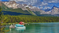 Jasper City Sightseeing Tour and Maligne Lake Cruise