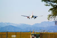 Transfert partagé à l'arrivée: de l'aéroport de Calgary aux Hôtels d'Alberta
