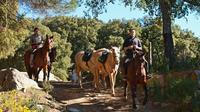 Horse Riding Tour of Grazalema Natural Park in Cadiz