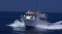 Kona Sport-Fishing Large Group Private Charter - 6 Hours