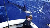 Kona Sport-Fishing Share Charter