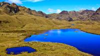 Cajas National Park and Cuenca City Tour