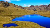 Private Cajas National Park Half-Day Tour from Cuenca