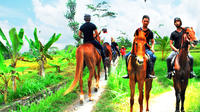 Horse Riding in Ubud