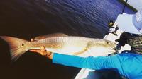 Half Day Backwater Fishing charter near Marco Island