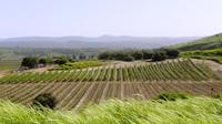 Central Israel Wine Tour From Tel Aviv 