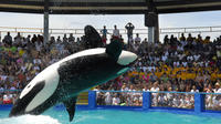 Miami Seaquarium with Animal Shows and Round Trip Transportation