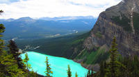 Private Departure Transfer: Lake Louise to Calgary International Airport