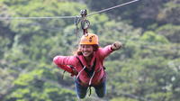 100% Adventure Park Combo: Zipline, Superman, and Mega Tarzan Tour in Monteverde