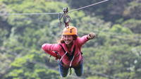 Abenteuerpark-Combo: Zipline, Superman, Mega Tarzan Tour in Monteverde Abenteuerpark-Combo: Zipline, Superman, Mega Tarzan Tour in Monteverde