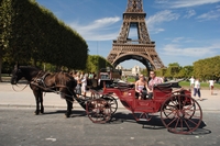 Romantische Kutschfahrt durch Paris Romantische Kutschfahrt durch Paris
