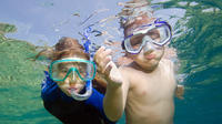 Private Snorkeling to Egmont Key and Shell Key