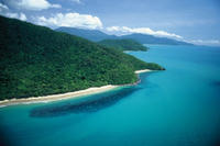 Excursion en petit groupe à Cape Tribulation, croisière sur la rivière Daintree et Bloomfield piste