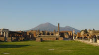Pompeii Ruins with Private Guide