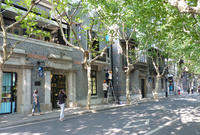 Private Walking Tour In The Former French Concession