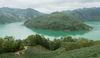 5-Hour Thousand Island Lake and Pinglin Tea Plantation Scenery Tour