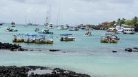4-Day Galapagos Islands Express Tour