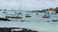 4-Day Galapagos Islands Flash Tour