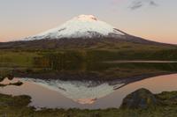 National Park of Cotopaxi Day Trip from Quito