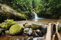 Private Tour: Mindo Nambillo Cloud Forest Reserve from Quito 