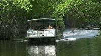 Black River Safari And Pelican Bar Tour from Montego Bay