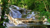 Day Trip to Dunn's River Falls from Montego Bay