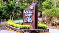 Dunn's River Falls Tour from Lucea