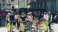 Lower Manhattan Bike Tour from Brooklyn
