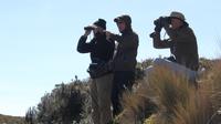 Birdwatching Tour in Cajas National Park from Cuenca