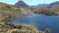 Cajas National Park Day Tour