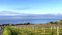 Kangaroo Island Shore Excursion: Food and Wine Trail Tour