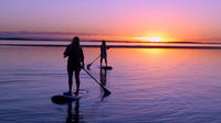 2 Hour Virginia Beach Paddleboard Rentals