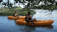 Virginia Beach 1 Hour Single Kayak Rentals