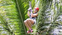 Treetop Adventure Park Canopy Tour