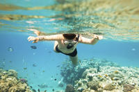 Na Pali Kauai Snorkel Expedition