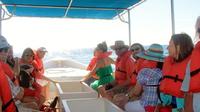 Explore Los Cabos Day Tour: City Sightseeing, Glass-Bottom Boat Ride, Lunch and Shopping