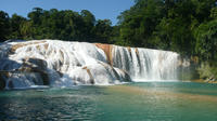 Agua Azul and Misol Ha Waterfalls Half-Day Tour from Palenque