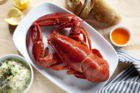 Exclusivité Viator: croisière-feux d'artifice Du 4 juillet au dîner with homard