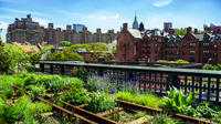 Imagen Recorrido a pie para grupos pequeños por el mercado de Chelsea, el distrito de carnicerías industriales y el High Line en Nueva York