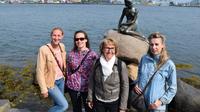 Small Group Photo Walking Tour of Copenhagen
