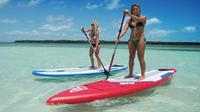 One Hour Paddleboard Rental with Instruction from Miami Beach Paddleboard