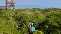 Reggae Zipline Tour from Negril