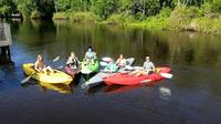 Family Kayak Tour