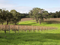 2-Day Margaret River Wine Experience Tour from Perth