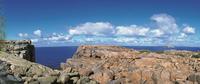 4-Day Tour from Perth Including Margaret River, Valley of the Giants Tree Top Walk and Albany