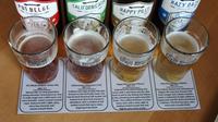 Small-Group Cape Town Craft Beer Tour