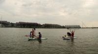 Charleston Harbor Stand up Paddleboard Tour